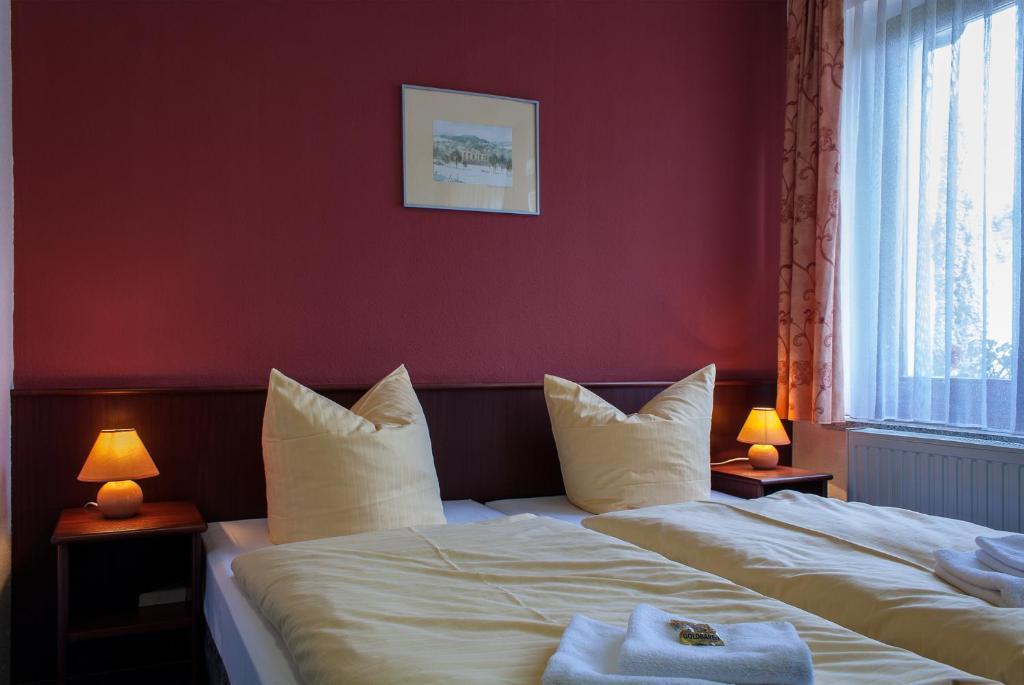 Landhotel Alt-Jocketa Pöhl Cameră foto